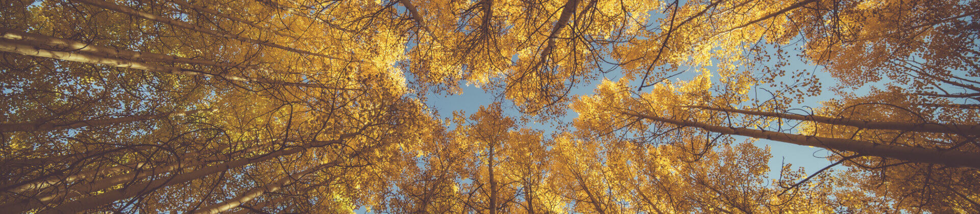 Über Ecology Academy