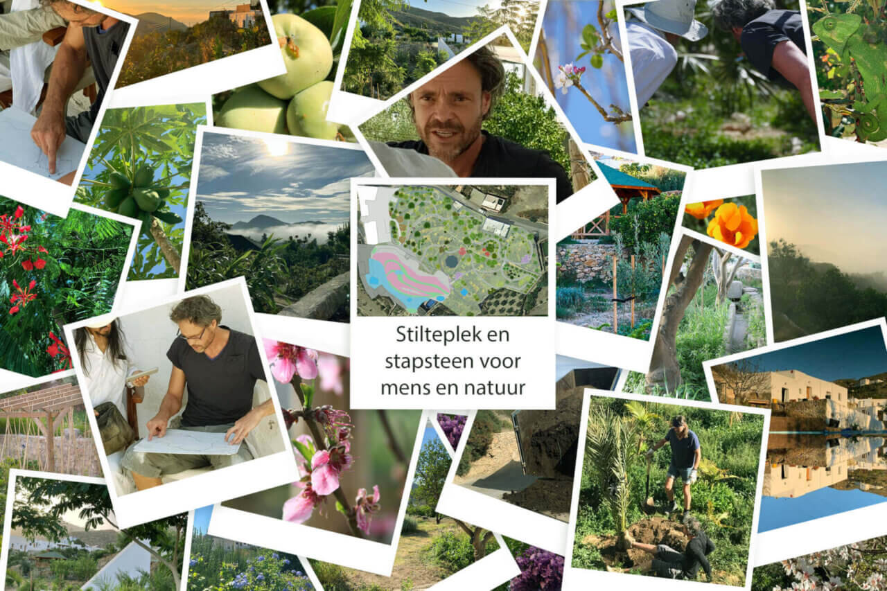 Natuurlijke, biodiverse tuin bij een meditatiecentrum in Spanje als stilteplek en stapsteen voor mens en natuur.