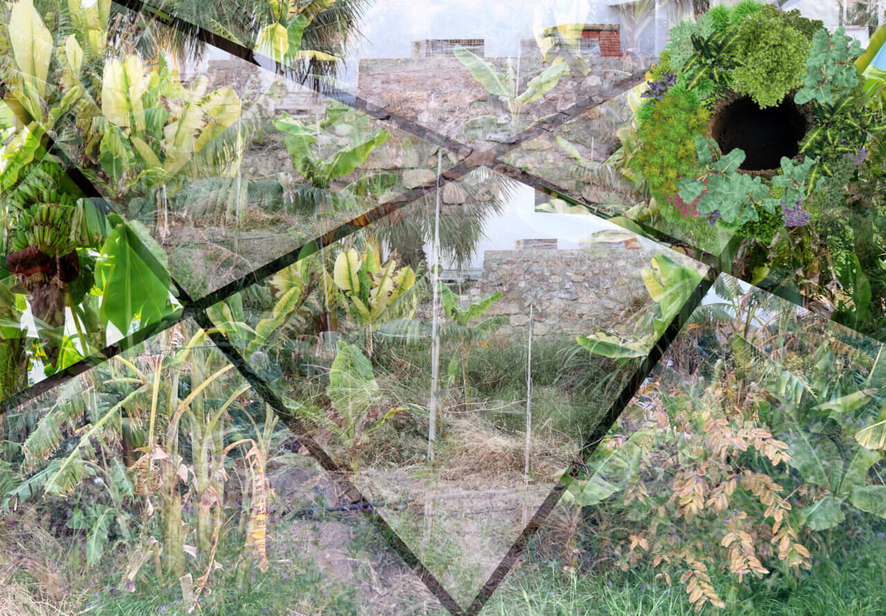 Eetbare-tuin-fruit-voedselbos