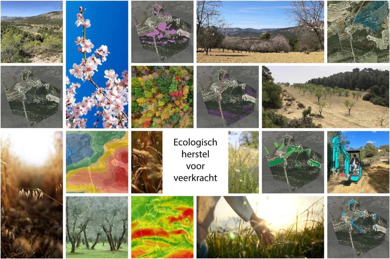 Ecologisch herstelproject voor versnellen van successie en bodemherstel: van gedegradeerd naar veerkrachtig land, bestand tegen brand, erosie en extremen.