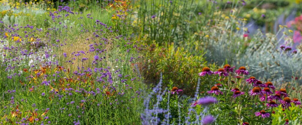 natuurvriendelijke tuin