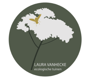 Laura Vanhecke