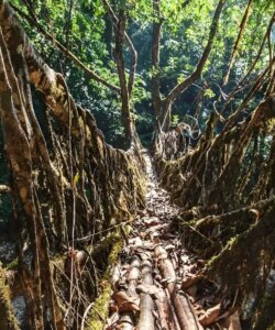 Ecological project advice & guidance