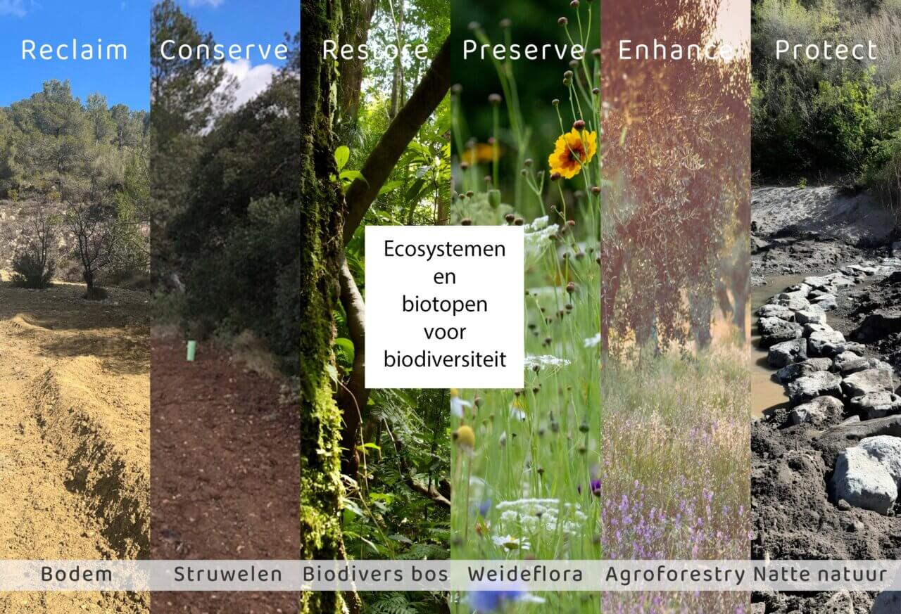 Mozaïek van ecosystemen en biotopen op 32 hectare voor biodiversiteit, erosiebeheersing, waterbeheer en bodemherstel.