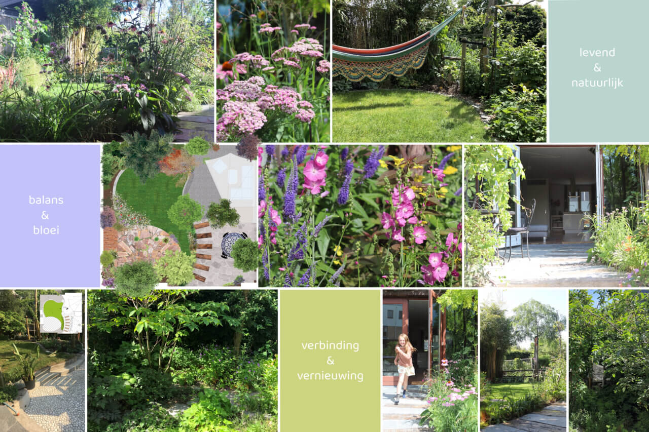 Ontwerp van een natuurlijke, biodiverse tuin vol overgangszones, met ronde vormen en natuurlijke lijnen voor beweging en verbinding.