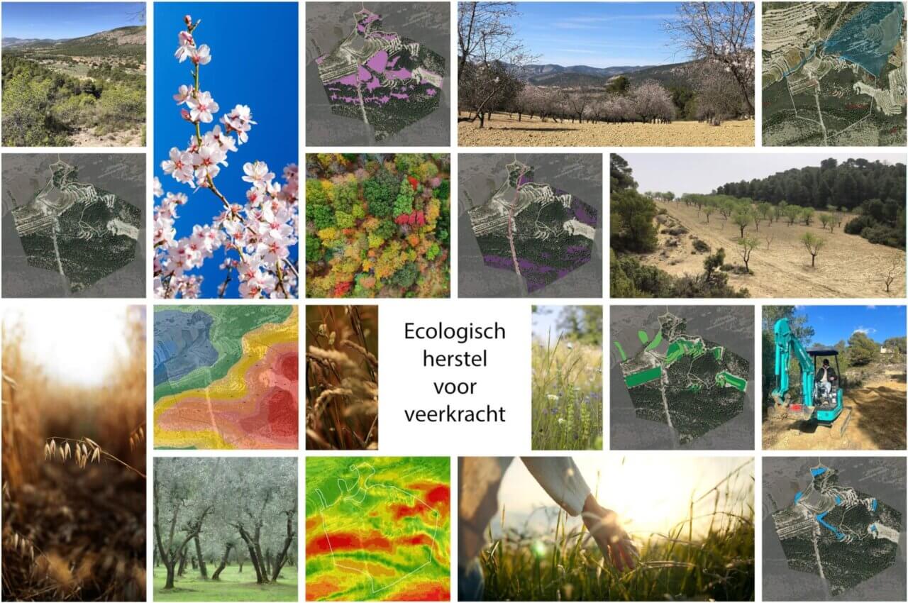 Ecologisch herstelproject voor versnellen van successie en bodemherstel: van gedegradeerd naar veerkrachtig land, bestand tegen brand, erosie en extremen.