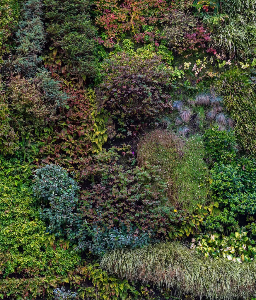 A new era in garden design & climate resilience courses